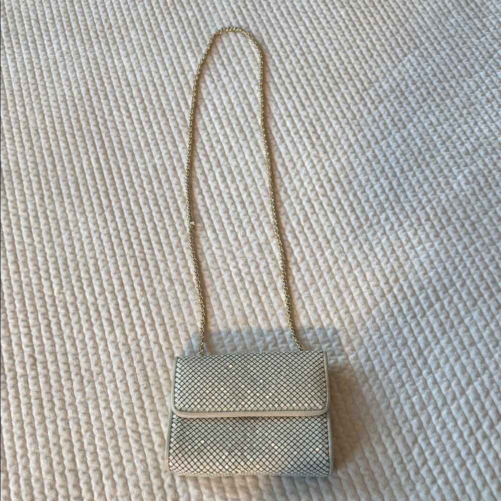 Elegant Vintage Mesh Cream and Gold Women's Bag